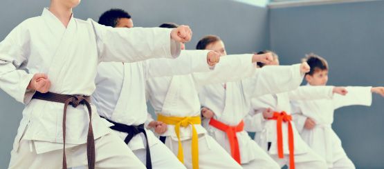 Karate Decals