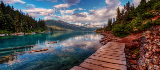 Landscape Decals