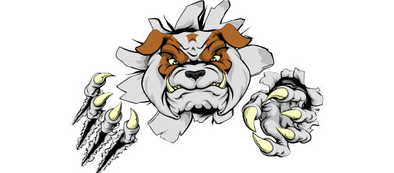 Mascot Decals