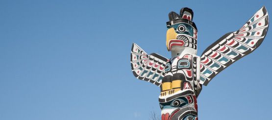 Native American Decals