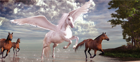 Pegasus Decals