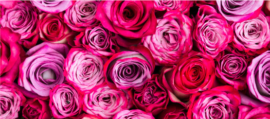 Rose Decals