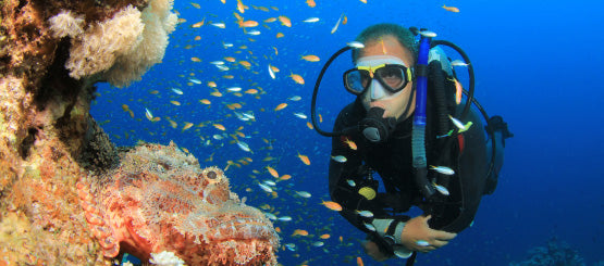 Scuba Diving Decals