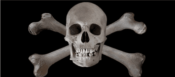 Skull and Crossbone Decals