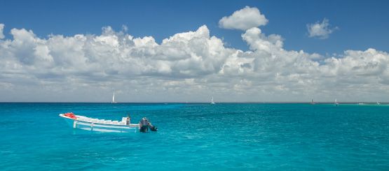 Sport Boat Decals