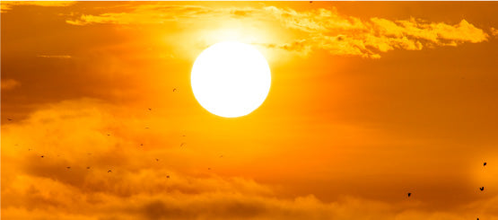 Sun Decals