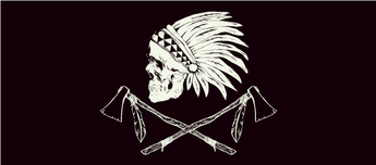 Warrior Skull Decals