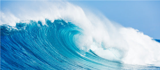 Wave Decals