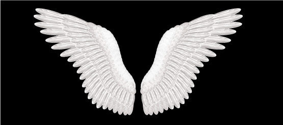 Wing Decals