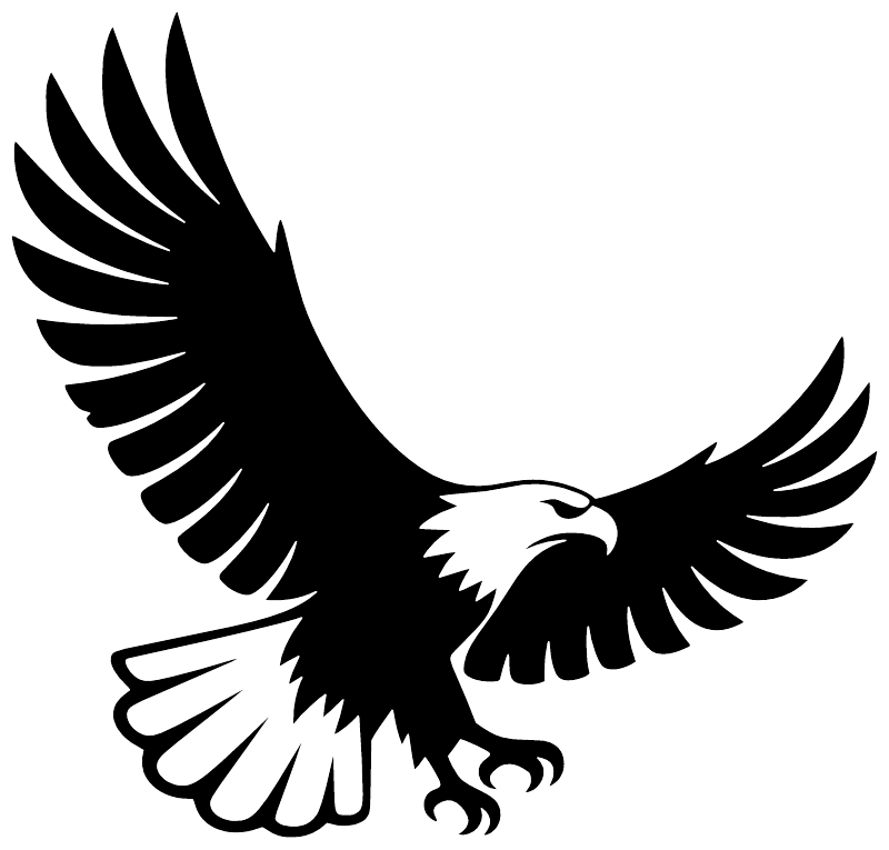 Soaring eagle vinyl decal, black silhouette with white wings on solid background