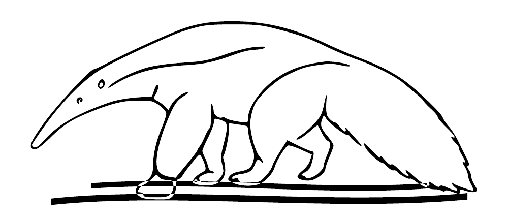 Black outline anteater graphic with twin wind swooshes on a white background