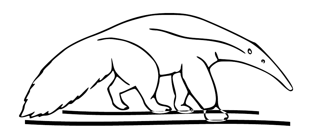 Mirrored walking giant anteater outline graphic in black on white