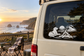 BeachCampfireCX019 - Beach Dog Night; illustrative application of the exact PDF artwork