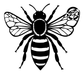Black honey bee decal with veined wings and striped body on white background