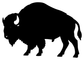 Standing bison silhouette vinyl decal with curved horns, black graphic
