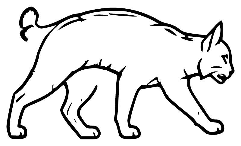 Bobcat outline vinyl decal, black line art with tufted ears and prowling pose