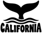 Black whale tail vinyl decal with wavy lines and “CALIFORNIA” lettering.