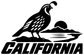 California quail vinyl decal with black quail and 'CALIFORNIA' block lettering
