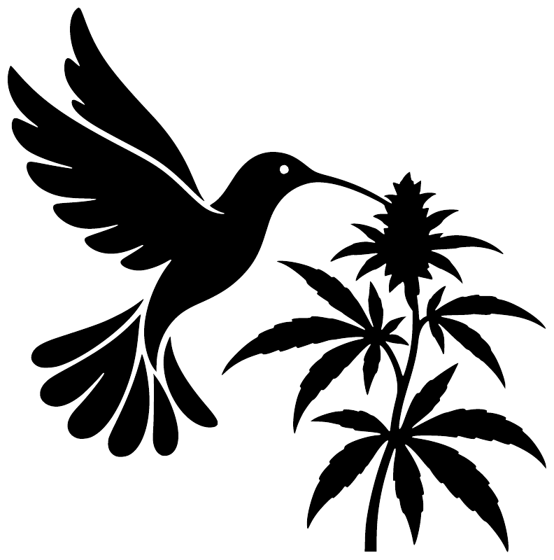 Black hummingbird vinyl decal with cannabis leaves in bold silhouette