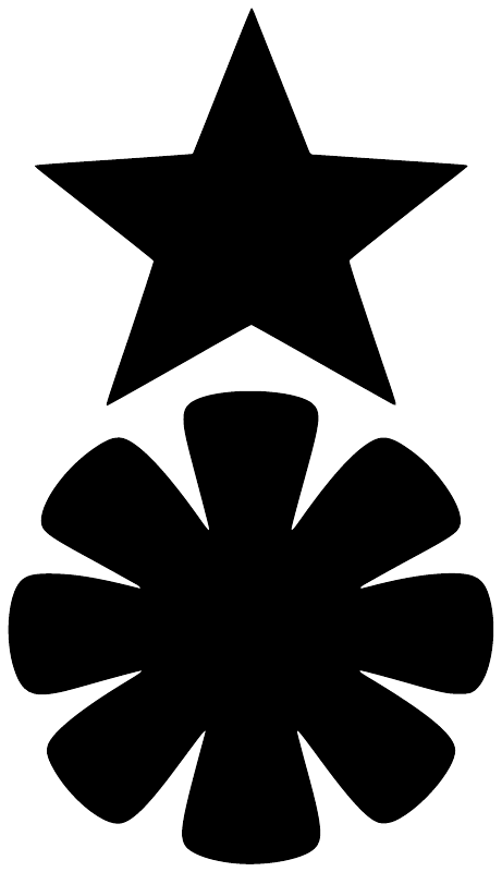 CheerleadingCX010 - Cheer Star Pom; preview rendered from the saved vector PDF