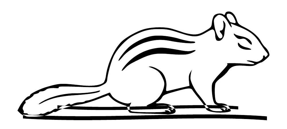 Chipmunk outline wall decal with striped body and sweeping tail, black line art