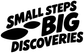 Vinyl wall decal close-up: “SMALL STEPS BIG DISCOVERIES” lettering with footprints
