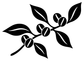 Coffee bean sprig vinyl decal, black branch with coffee beans and leaves