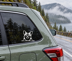 Corgi peek vinyl decal on car window with black-and-white dog face and paws