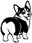 Corgi dog vinyl decal graphic in black and white