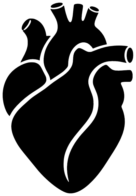 Anatomical heart silhouette vinyl decal with vein details, black