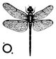 Mirrored dragonfly wall art close-up with detailed veined wings and black body