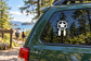 Dreamcatcher vinyl decal with black star and white feather drops on a circular ring