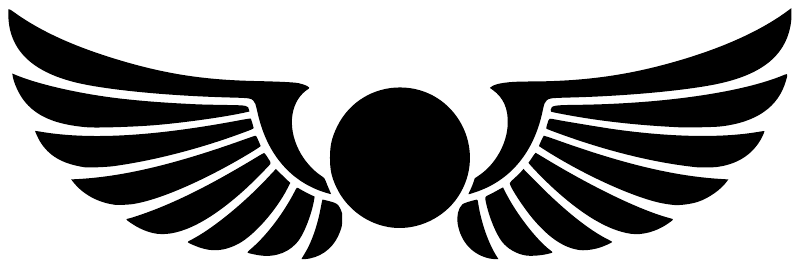 Winged sun arc vinyl decal graphic, black wings with central round sun and arc lines