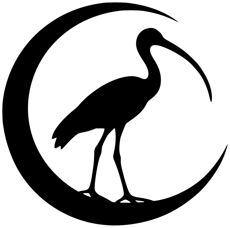 Ibis crescent vinyl decal close-up, black-and-white bird inside curved moon