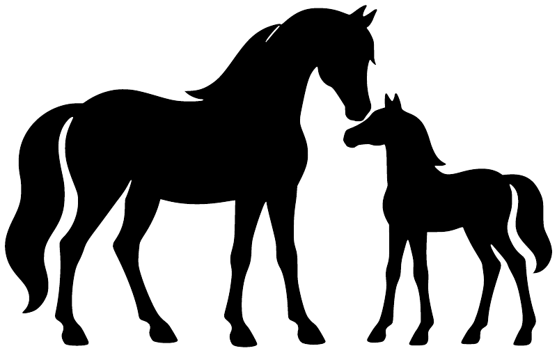 Equestrian mare and foal vinyl decal, black horse silhouette with foal