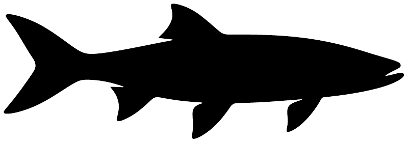 Black longfin fish vinyl decal silhouette, full-length side view