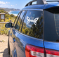 Vinyl decal of white butterfly with flying disc graphic on car window