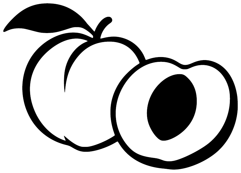 Stylized peach vinyl decal, two outlined peaches with leaf and black pit detail