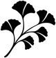Ginkgo fan sweep vinyl decal close-up, bold black leaf silhouettes with stem.