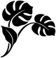 Monstera corner vinyl decal, black leaf silhouettes