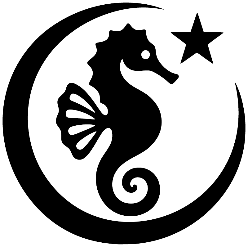 Vinyl seahorse decal in black with star, framed by a circular moon outline.
