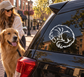 Golden Retriever vinyl decal showing a curled sleeping dog on a car rear panel