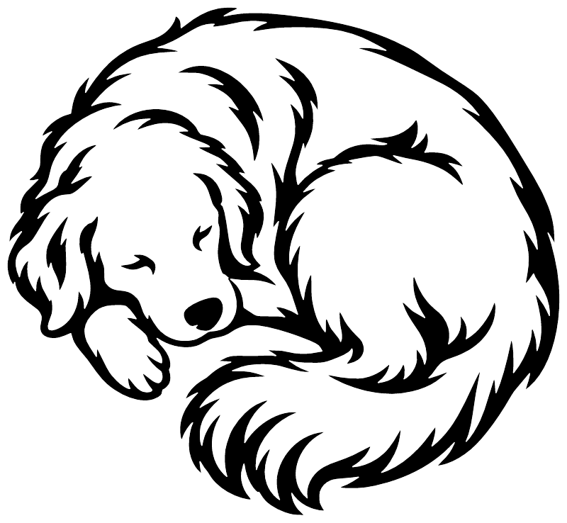 Golden Retriever vinyl decal with black line-art of a curled sleeping dog