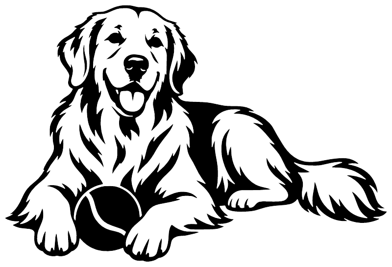 Black-and-white retriever vinyl decal illustration for car or ball keeper signage