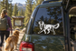 Golden Retriever vinyl decal on car rear window, black-and-white dog outline