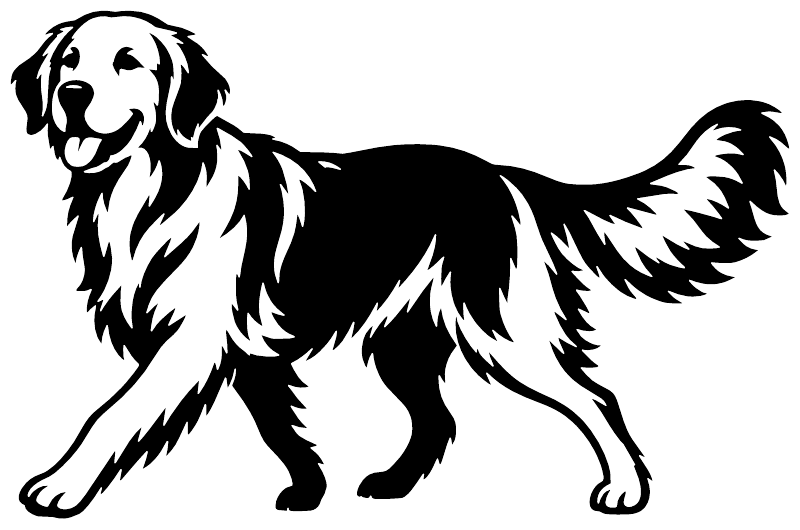 Golden Retriever vinyl decal with standing black-and-white dog graphic