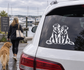 Vinyl decal of two golden retrievers sitting together on a car window