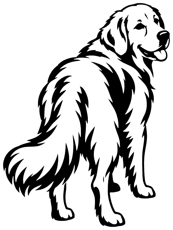 Golden retriever vinyl decal with black-and-white outline standing