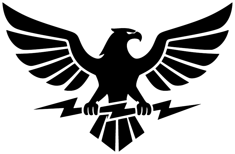 Black eagle storm vinyl decal with spread wings and lightning rays, centered