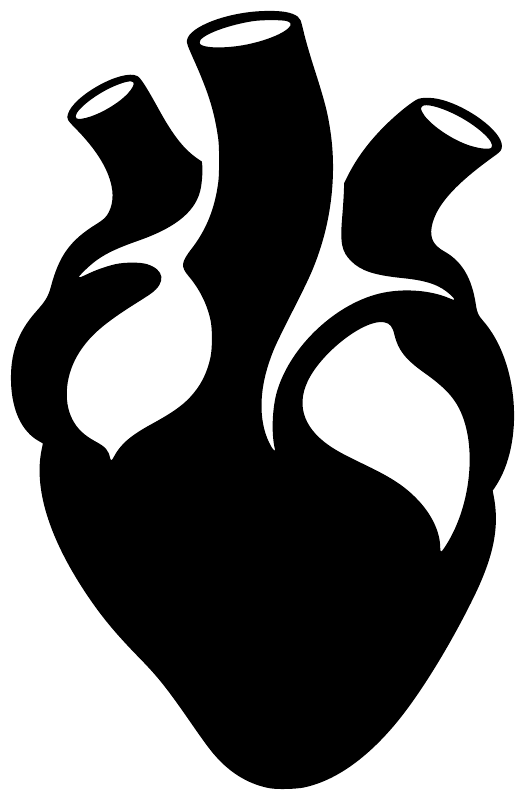 HeartCX006 — Anatomical Heart ; preview rendered from the saved vector PDF